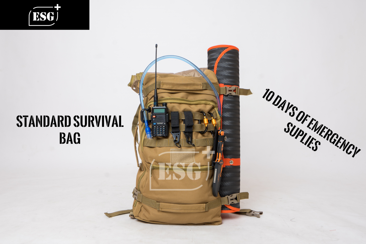 Standard Survival Bag